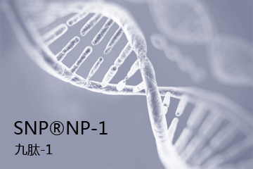 SNP?NP-1  九肽-1