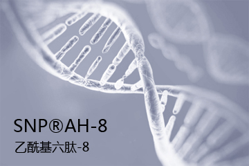 SNP?AH-8 乙?；?8