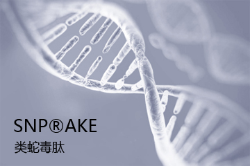 SNP?AKE 類蛇毒肽