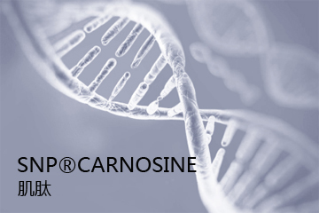 SNP?CARNOSINE 肌肽